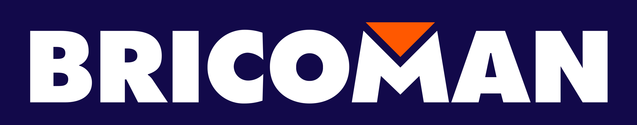 BRICOMAN catalogues, prospectus